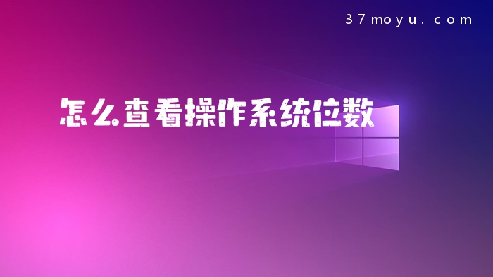 怎么查看操作系统位数