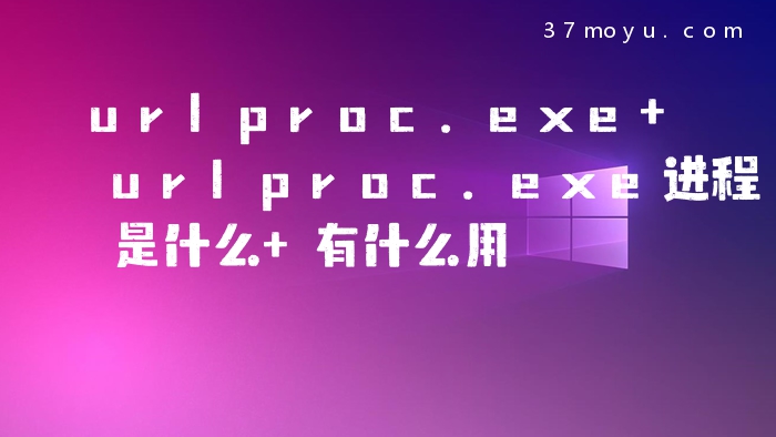 urlproc.exe urlproc.ex