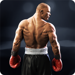 realboxing2游戏