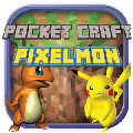 PocketCraftPokeBlock手