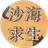 沙海求生（微信小游戏）
