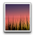 动态壁纸选择器apk