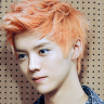 exom鹿晗相册app
