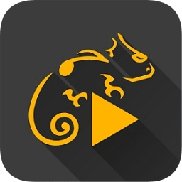 蜥蜴音乐播放器app
