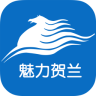 魅力贺兰app