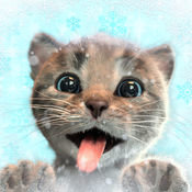 小猫大冒险ios