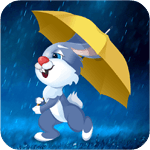 杰兔天气app