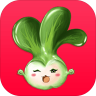 淘菜猫app苹果
