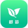 树苗WiFiapp