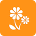 沃看宝贝app