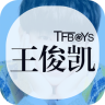 软件图标