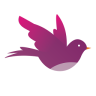 喜鹊来了app