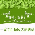 淘花汇app