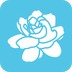 Hi茉莉app
