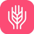 每日三次app