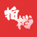 大学生拍档app