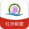 掌上临西app