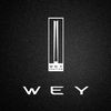 WEY智享互联app