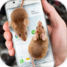 mouseonscreen软件