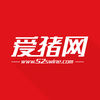 爱猪网app