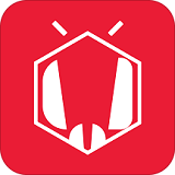 蜜蜂小报app