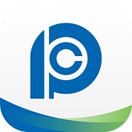 太保e办app