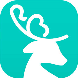 快付快赔app