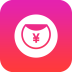 足布用车app