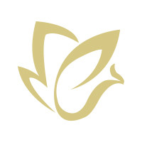 车服云app