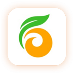 金柿子app