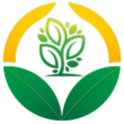 中碳宝