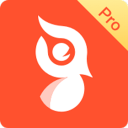 啄木鸟Proapp