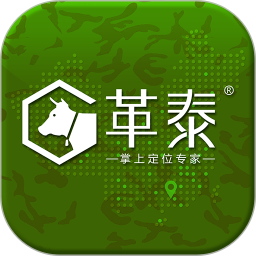 革泰定位器