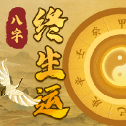 八字终身运软件