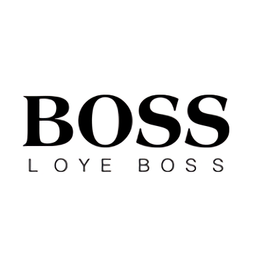 boss智能网