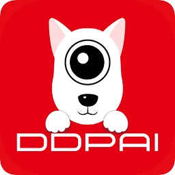 盯盯拍app安卓版