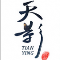 天影百度版手游