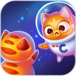 空间猫的演变游戏