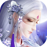 龙武小米版