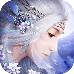 幻灵仙境果盘版