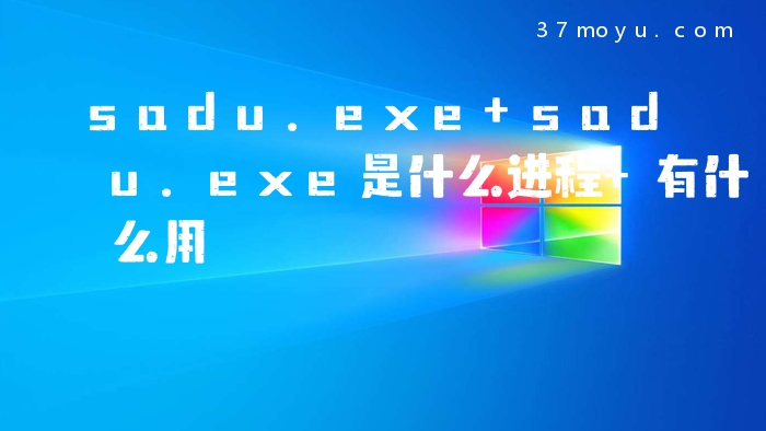sadu.exe sadu.exe是什