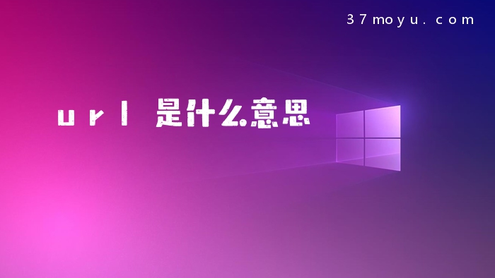 url是什么意思