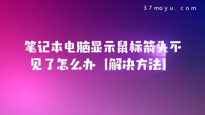 笔记本电脑显示鼠标箭头
