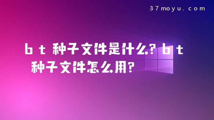 bt种子文件是什么？bt种子