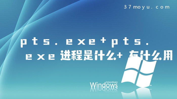 pts.exe pts.exe进程是