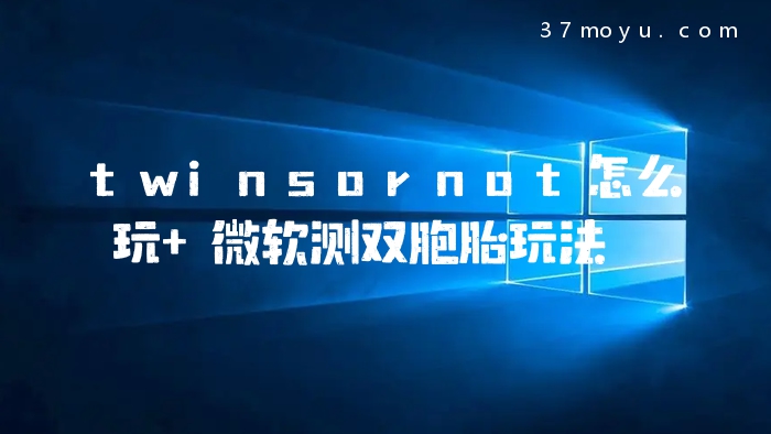 twinsornot怎么玩 微软