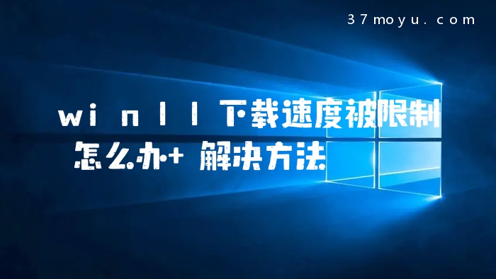 win11下载速度被限制怎