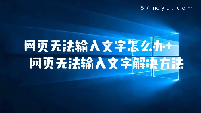 网页无法输入文字怎么办