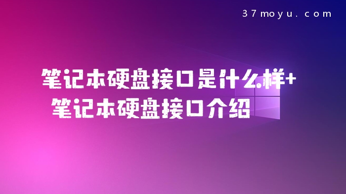 笔记本硬盘接口是什么样