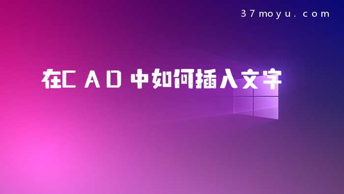 在CAD中如何插入文字